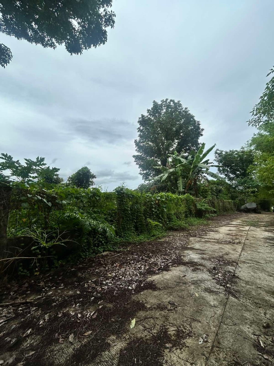 Land in Alaminos, Calabarzon, Philippines 2 - 17251778