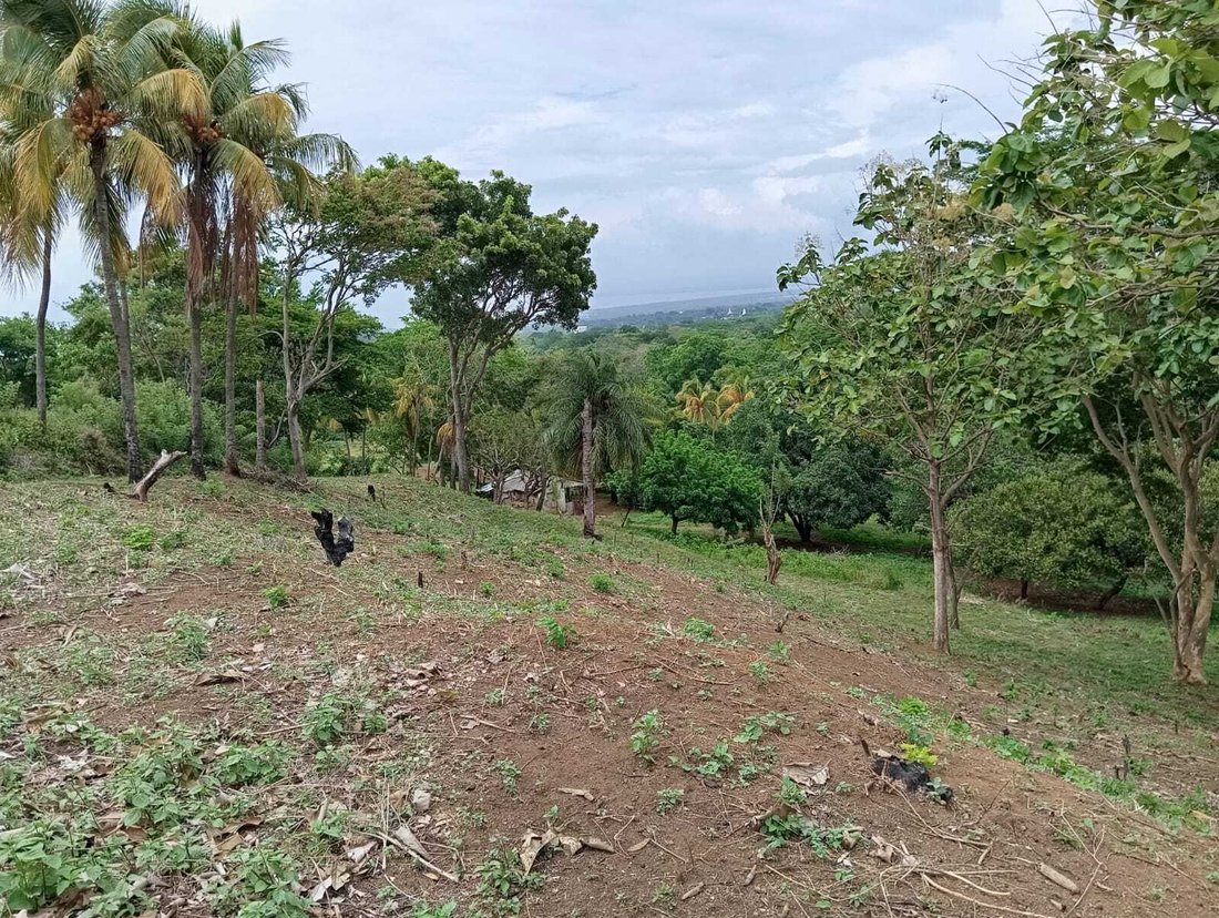 Farm Ranch in Managua, Managua, Nicaragua 5 - 17250091