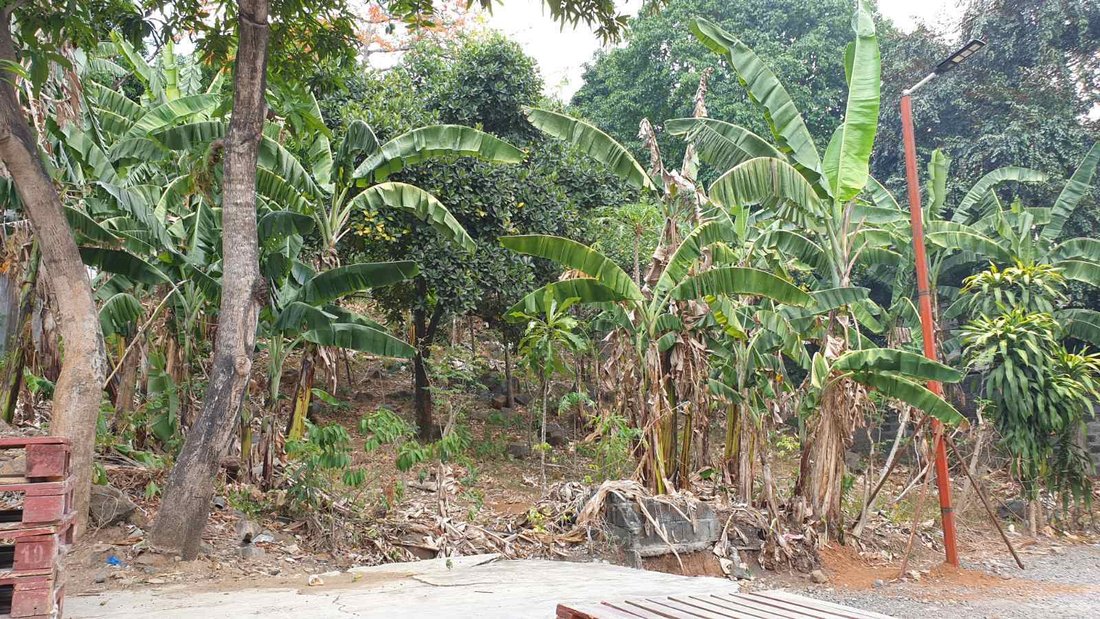 Land in Antipolo, Calabarzon, Philippines 4 - 17252152