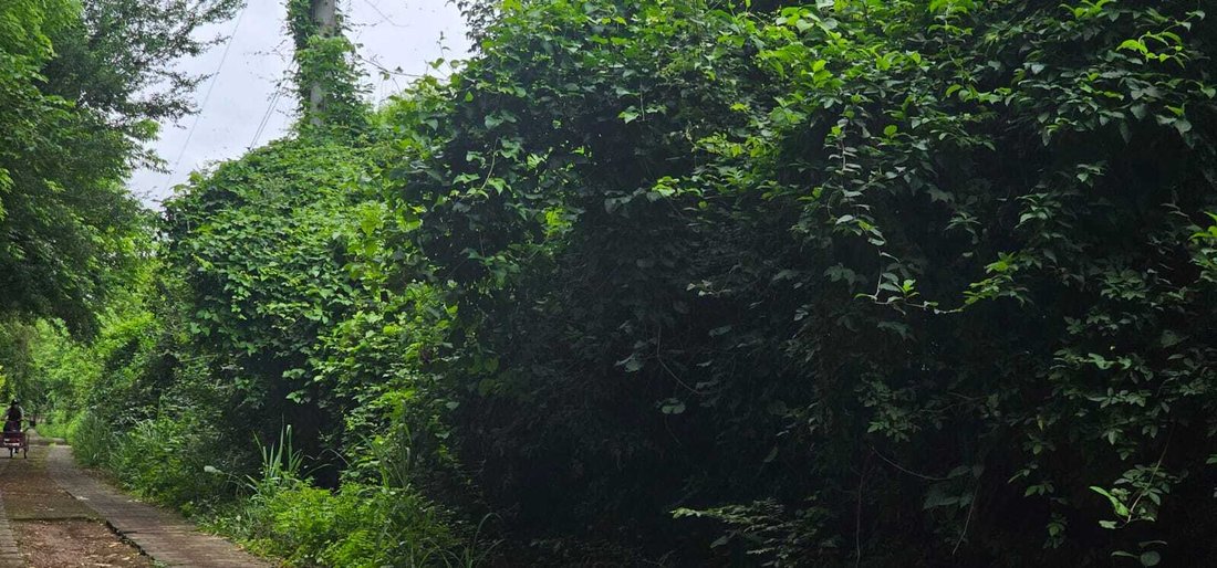 Land in Los Madrigales, Masaya, Nicaragua 1 - 17249863