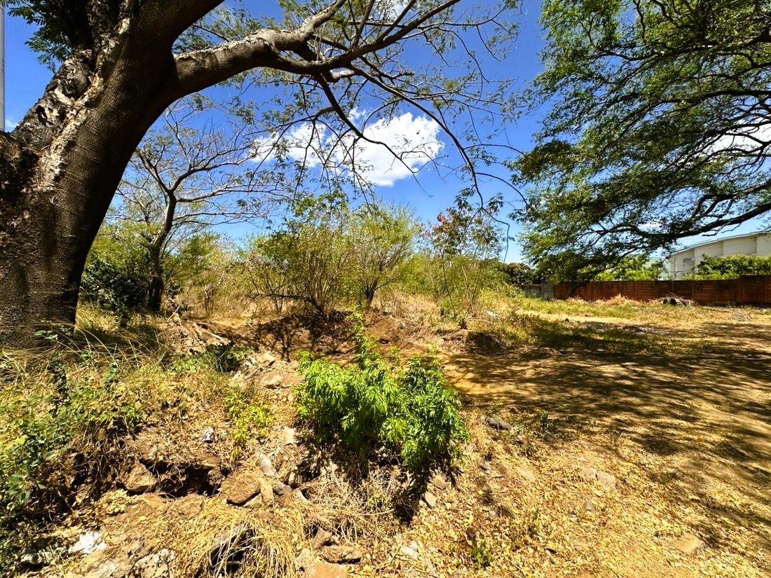 Land in Managua, Managua, Nicaragua 4 - 17249021