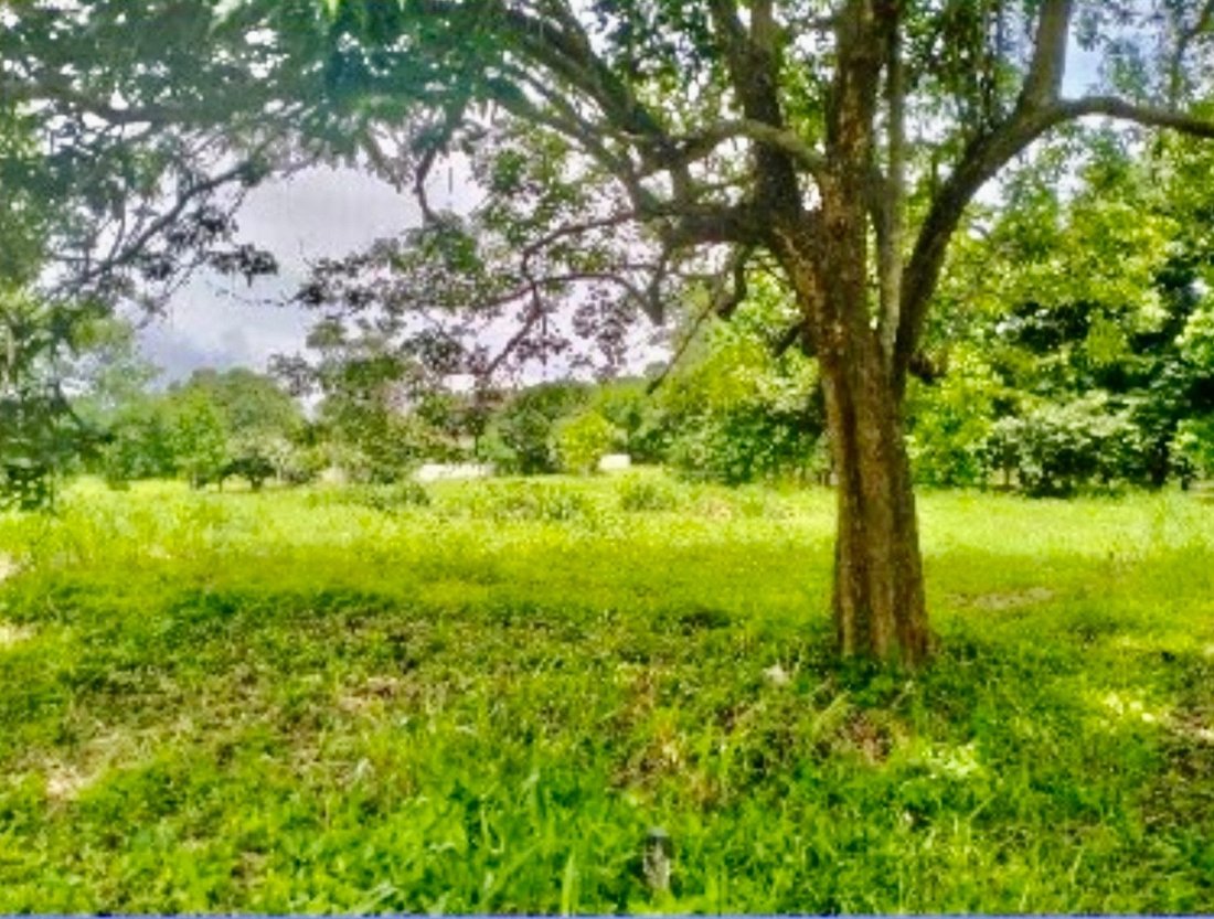 Land in Santa Rosa, Calabarzon, Philippines 2 - 17252005