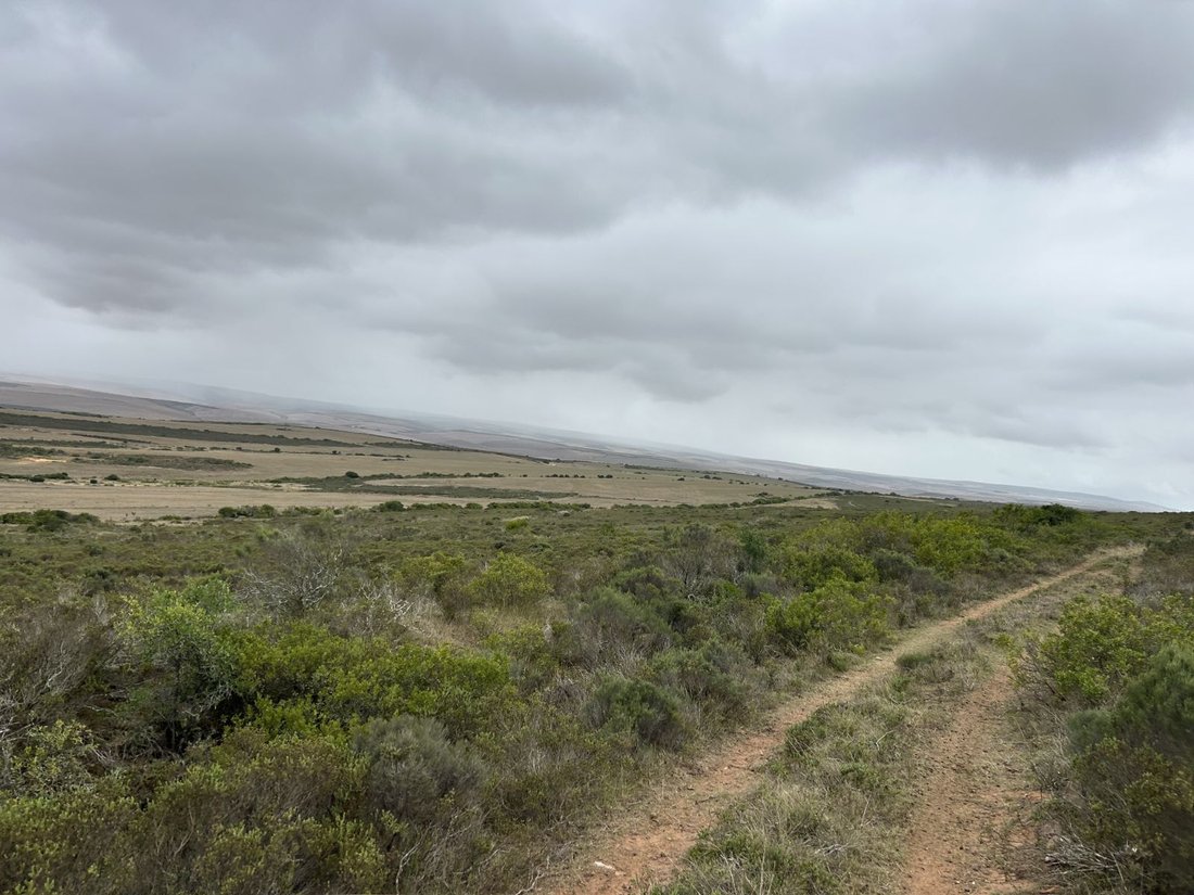 Farm Ranch in Johannesburg, Gauteng, South Africa 5 - 17252064