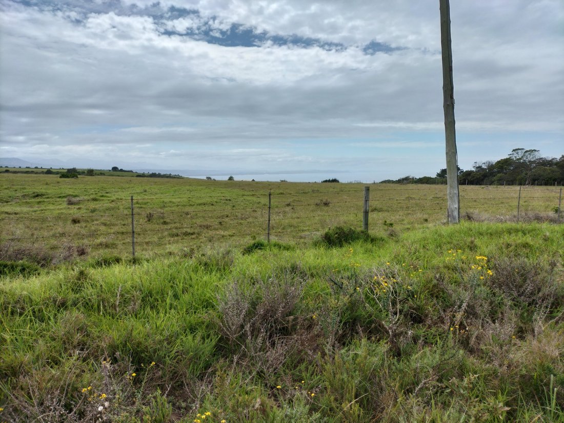 Farm Ranch in Groot Brakrivier, Western Cape, South Africa 1 - 17253323