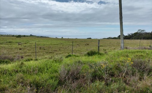 Rancho en Groot Brakrivier, El Cabo Occidental, Sudáfrica 1