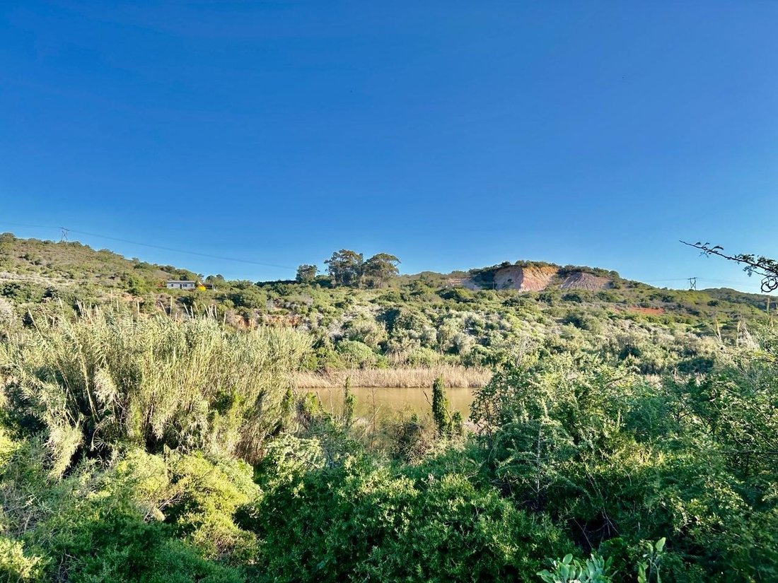 Farm Ranch in Johannesburg, Gauteng, South Africa 3 - 17251165