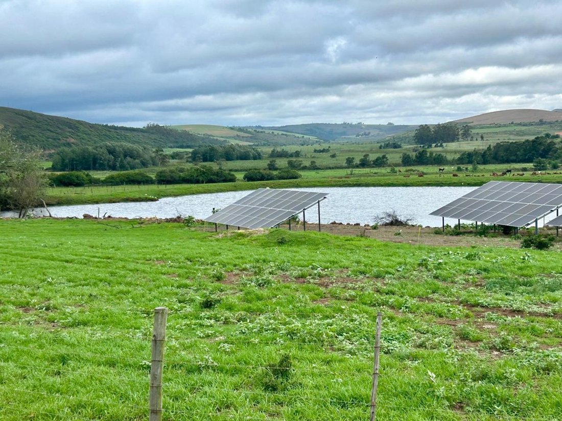 Farm Ranch in Johannesburg, Gauteng, South Africa 3 - 17249500
