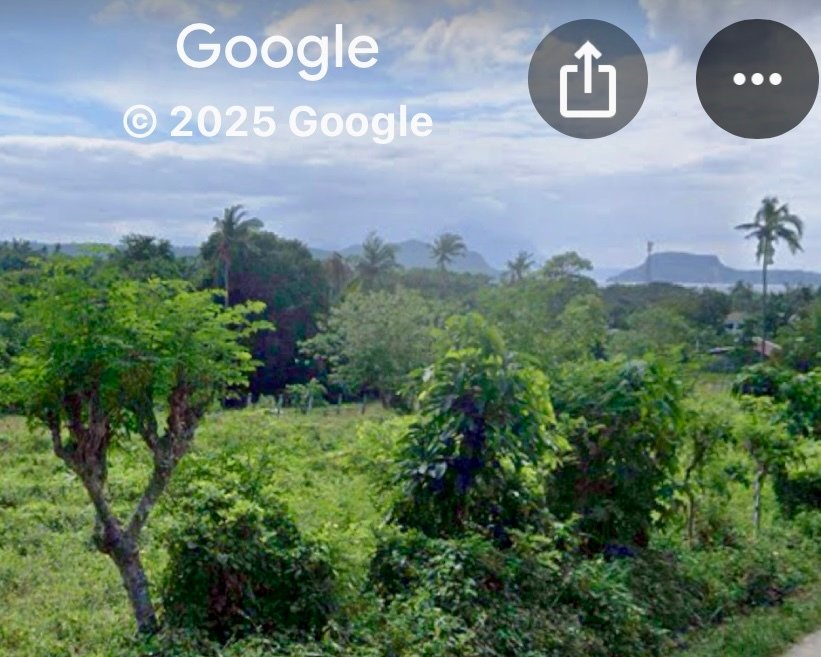 Land in Tanauan City, Calabarzon, Philippines 5 - 17251813