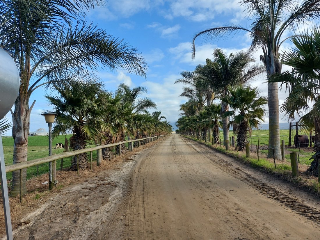 Rancho en George Central, El Cabo Occidental, Sudáfrica 4 - 17253681