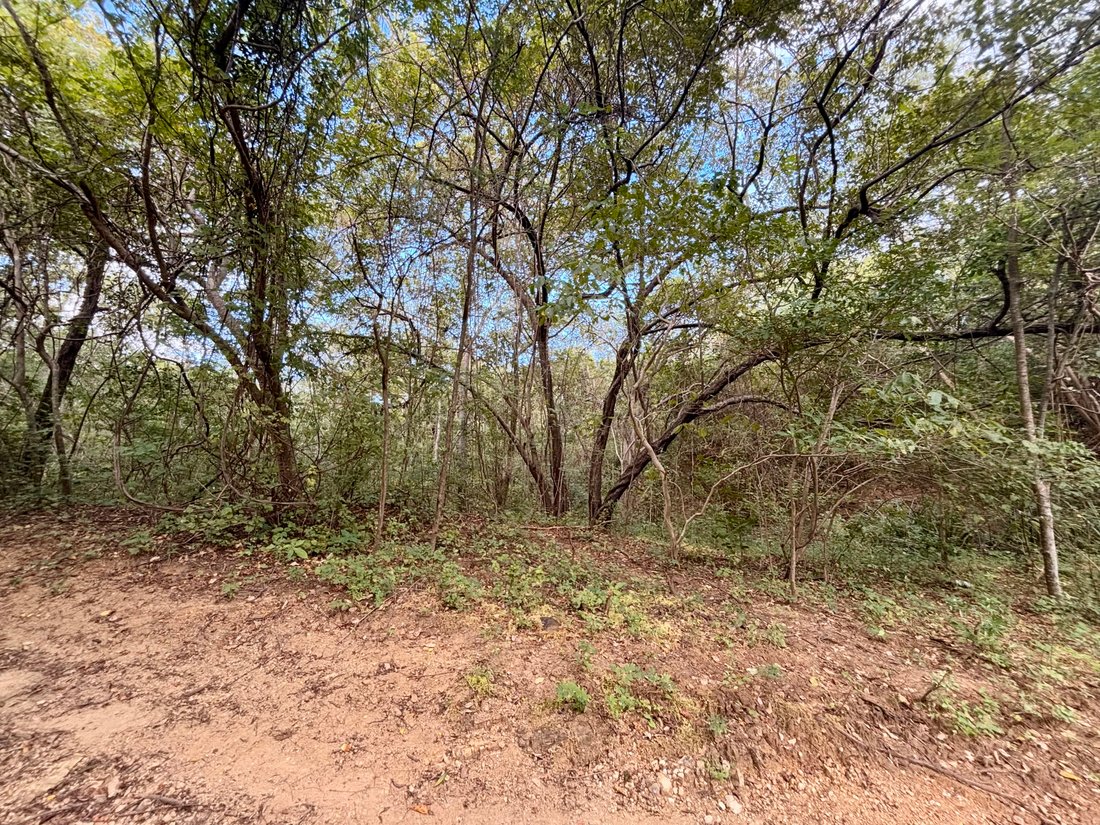 Land in El Astillero, Rivas, Nicaragua 3 - 17250717