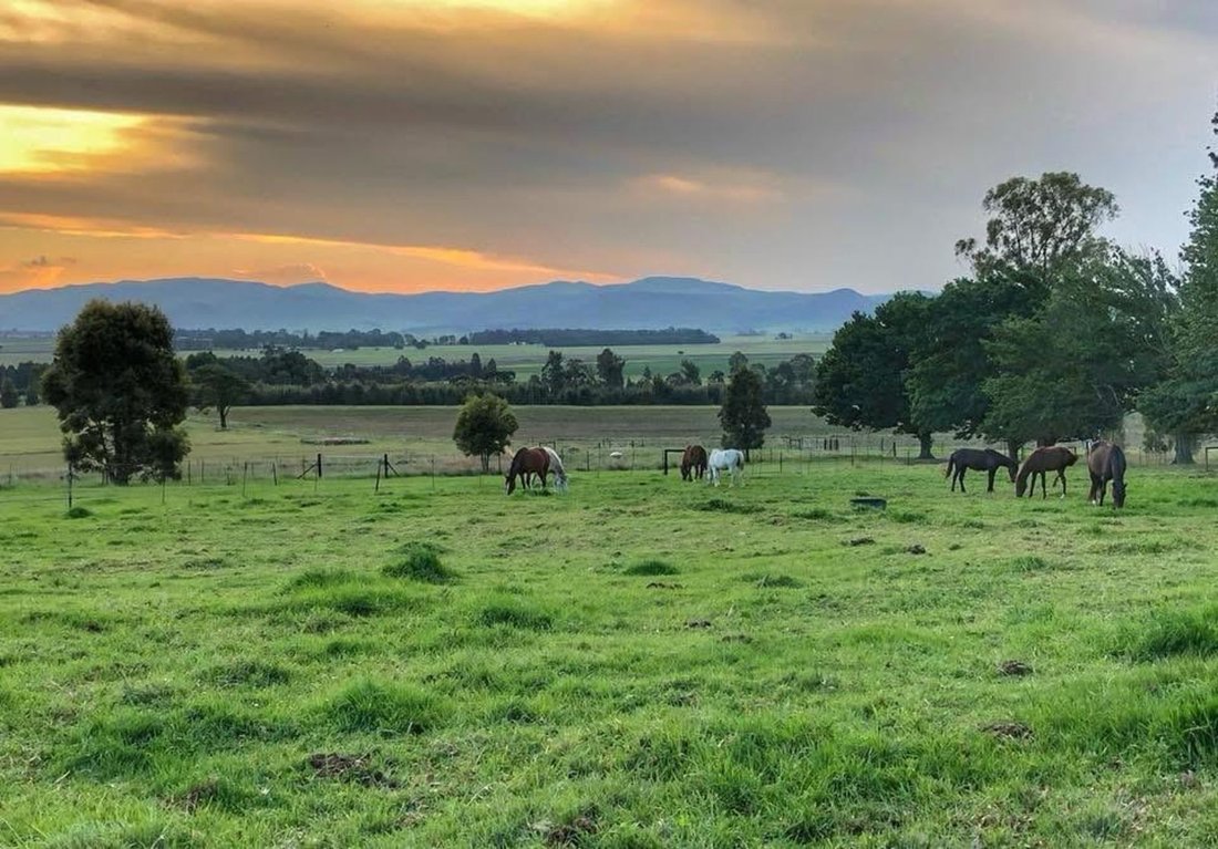 Farm Ranch in Volksrust, Mpumalanga, South Africa 1 - 17253591