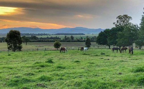 Farm Ranch in Volksrust, Mpumalanga, South Africa 1