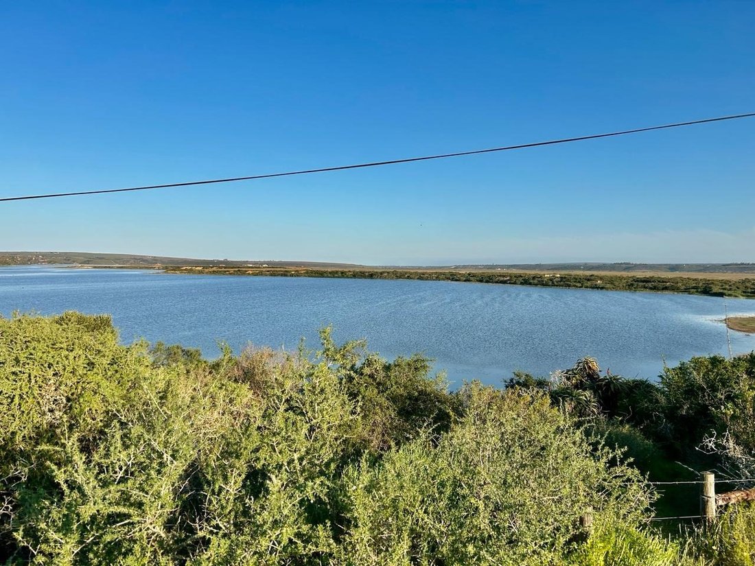 Farm Ranch in Johannesburg, Gauteng, South Africa 2 - 17251165