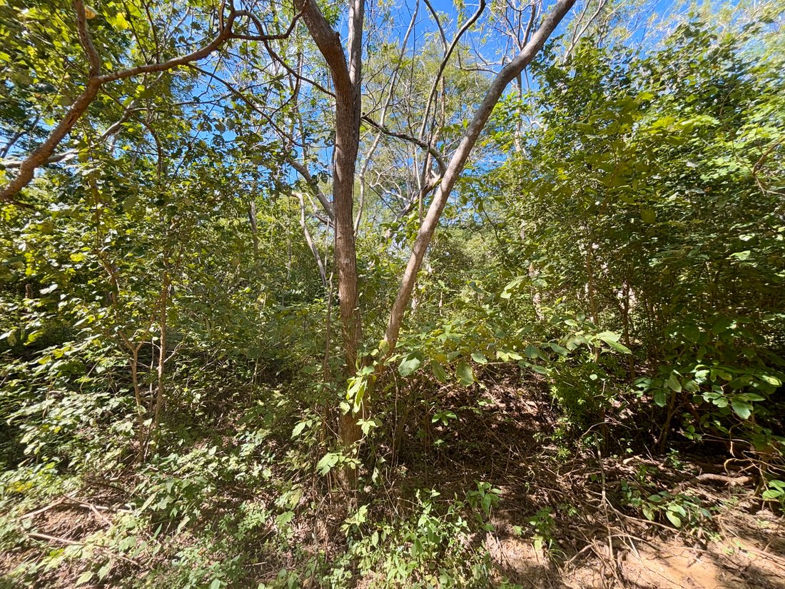 Land in El Astillero, Rivas, Nicaragua 4 - 17250586