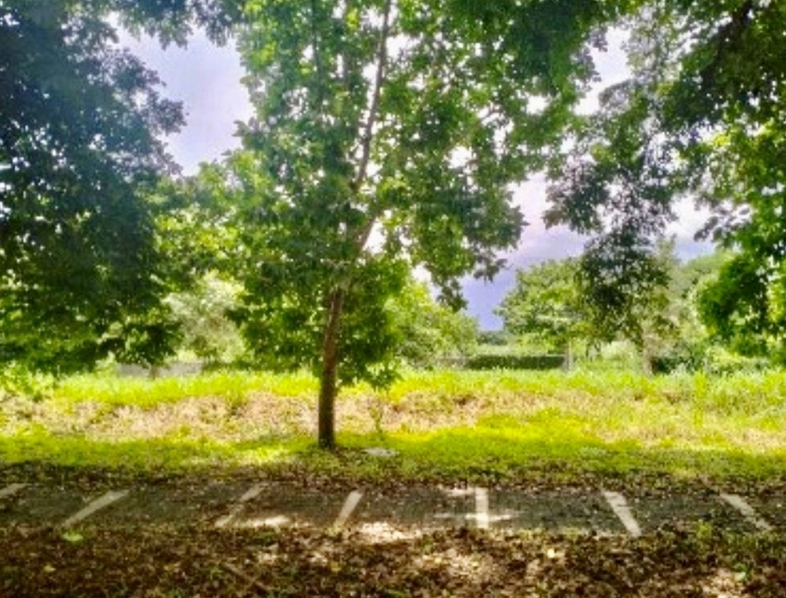 Land in Santa Rosa, Calabarzon, Philippines 1 - 17252005