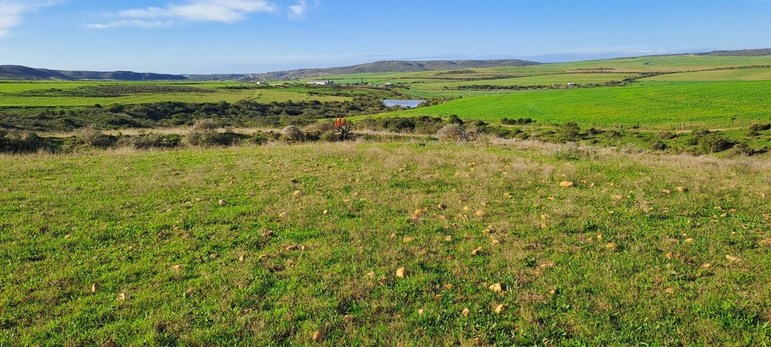 Azienda agricola a Mossel Bay Central, Provincia del Capo Occidentale, Sudafrica 3 - 17252193