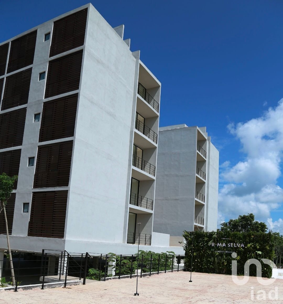 Apartment in Mérida, Yucatan, Mexico 3 - 15803991