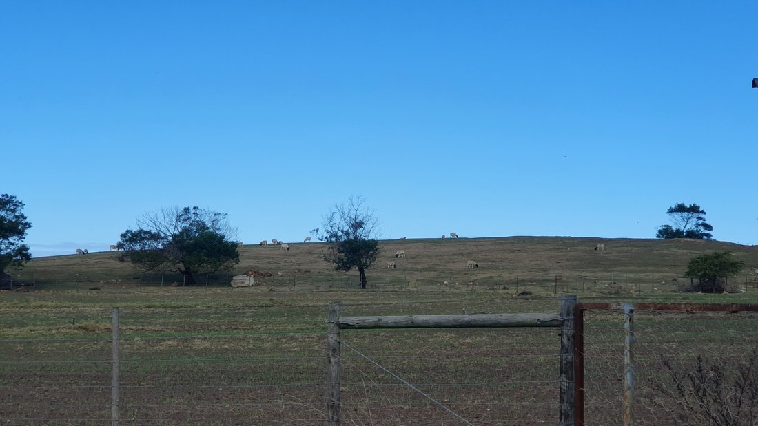 Rancho en Municipio Local de Kouga, El Cabo Oriental, Sudáfrica 3 - 17250846