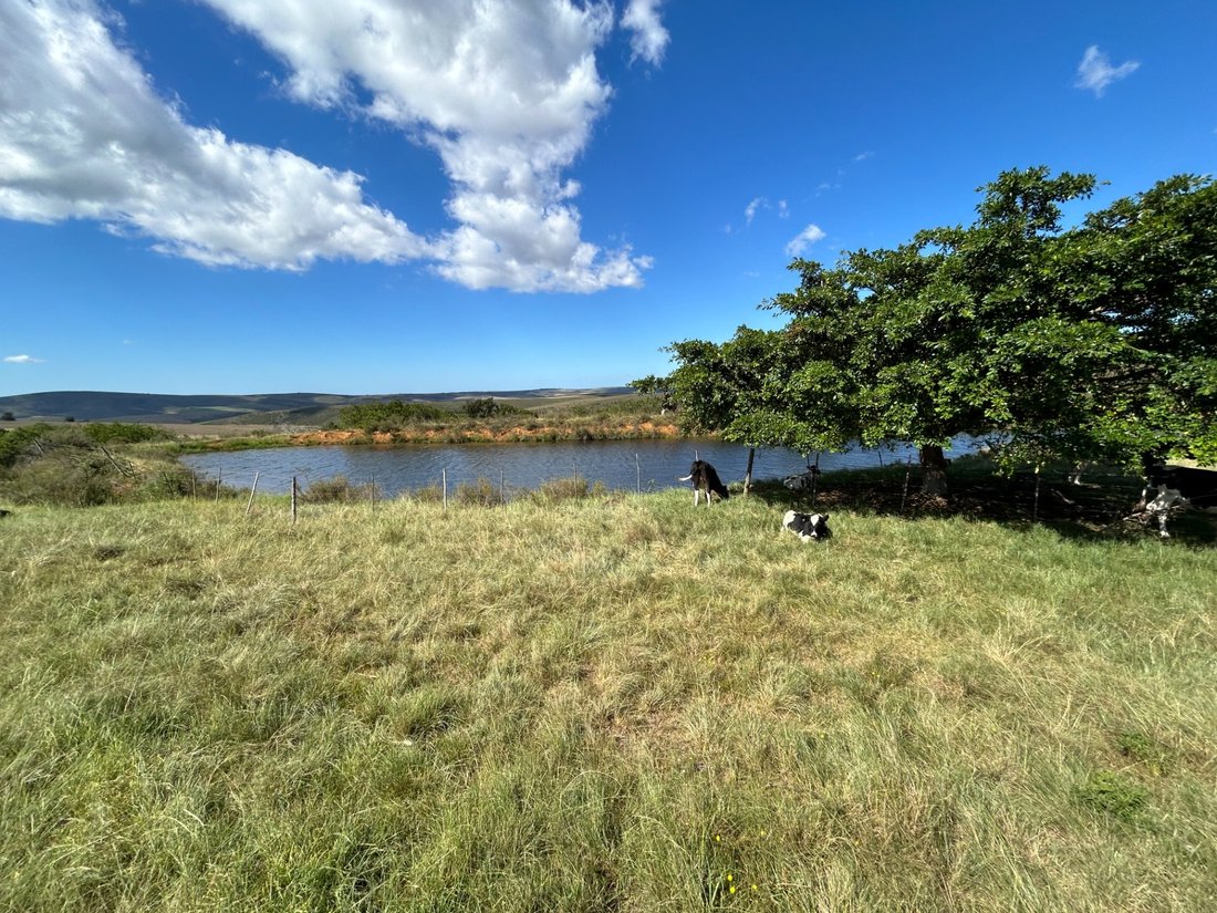 Farm And Agriculture Mossel Bay In Bonnievale, Western Cape, South ...