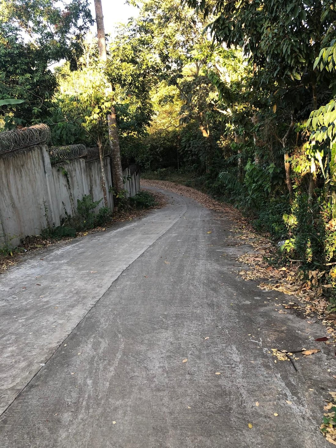 Farm Ranch in Lipa, Calabarzon, Philippines 2 - 17250582
