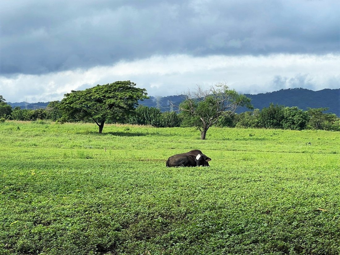 Land in Valentín Barrios, Managua, Nicaragua 4 - 17249040