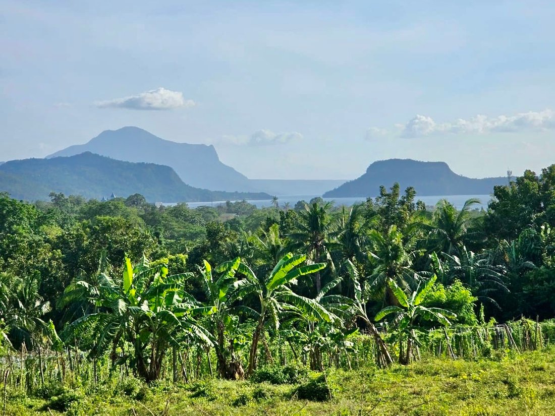 Land in Tanauan City, Calabarzon, Philippines 2 - 17251813