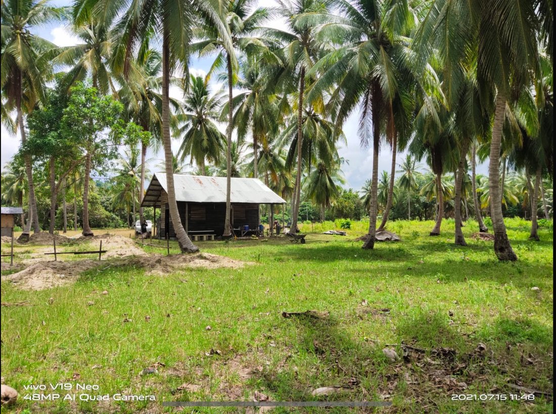 Roxas, MIMAROPA, Philippines 4 - 17252377