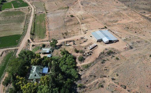 Farm Ranch in Oudtshoorn, Western Cape, South Africa 1