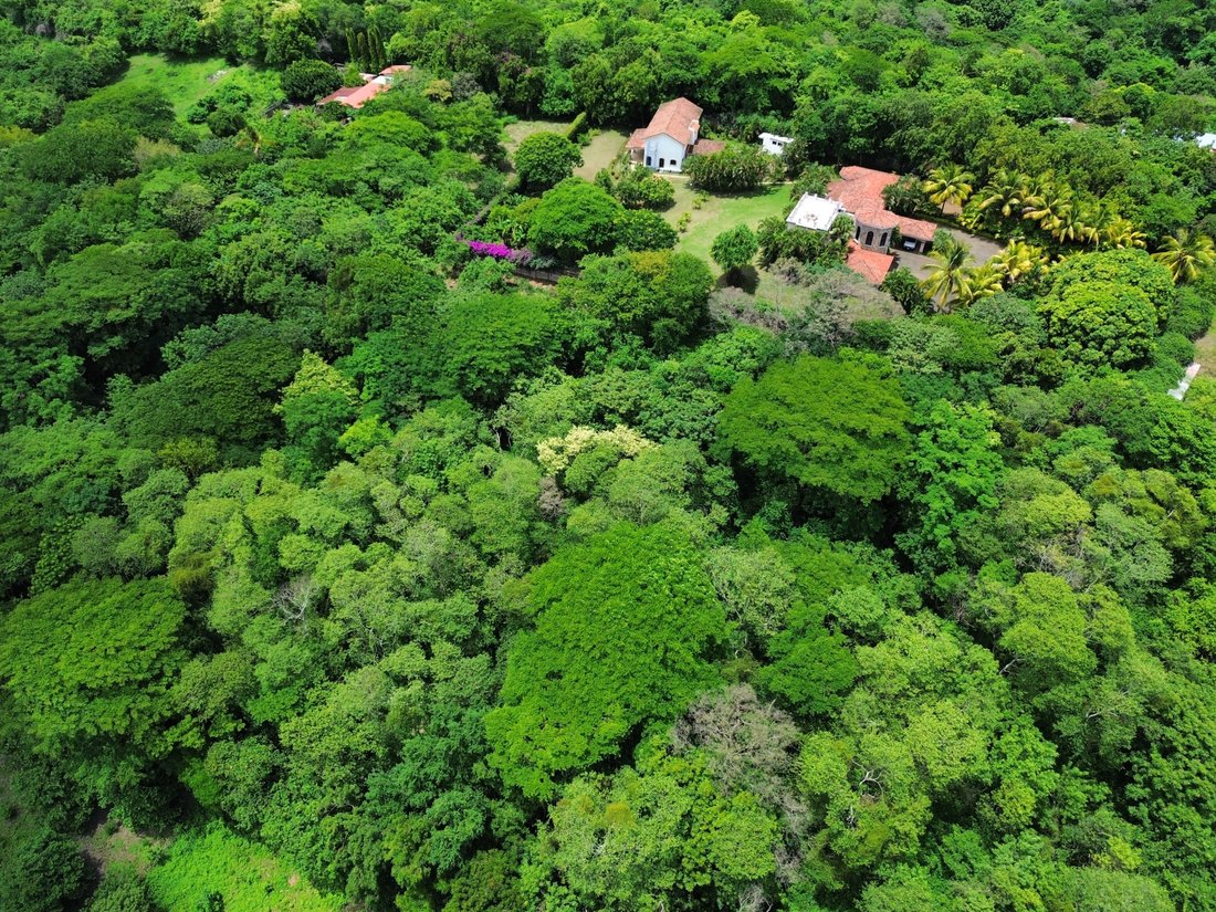 Land in Managua, Managua, Nicaragua 1 - 17249874
