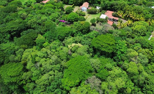 Land in Managua, Managua, Nicaragua 1