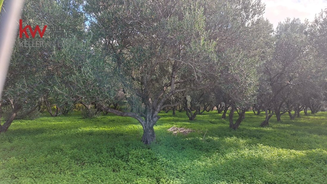 Land in Platanias, Greece 2 - 17248803