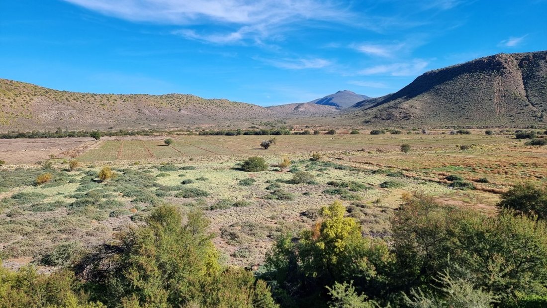 Farm Ranch in Johannesburg, Gauteng, South Africa 3 - 17253185