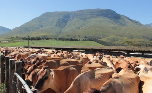 Corps de ferme à Johannesburg, Gauteng, Afrique du Sud 1