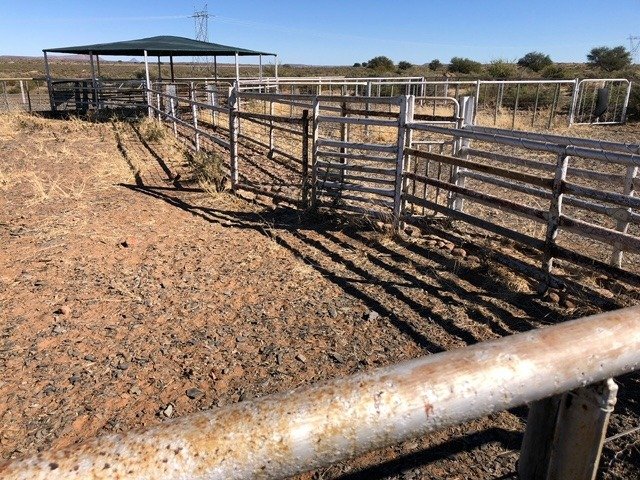 Farm Ranch in Britstown, Northern Cape, South Africa 5 - 17253690
