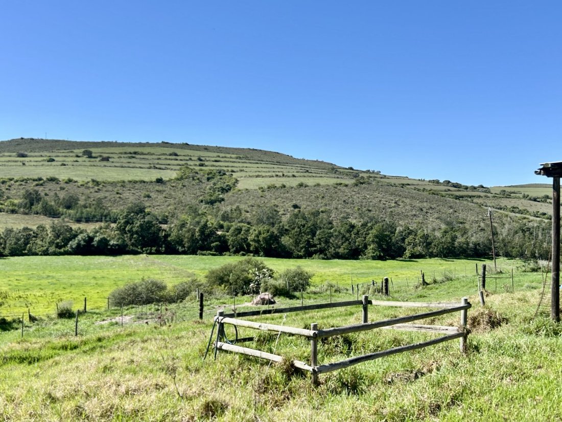 Farm Ranch in Johannesburg, Gauteng, South Africa 5 - 17252307