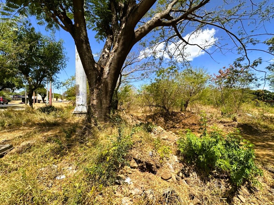 Land in Managua, Managua, Nicaragua 3 - 17249021