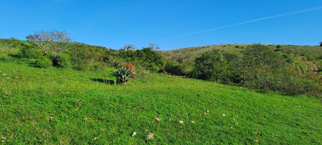 Azienda agricola a Mossel Bay Central, Provincia del Capo Occidentale, Sudafrica 2 - 17252193