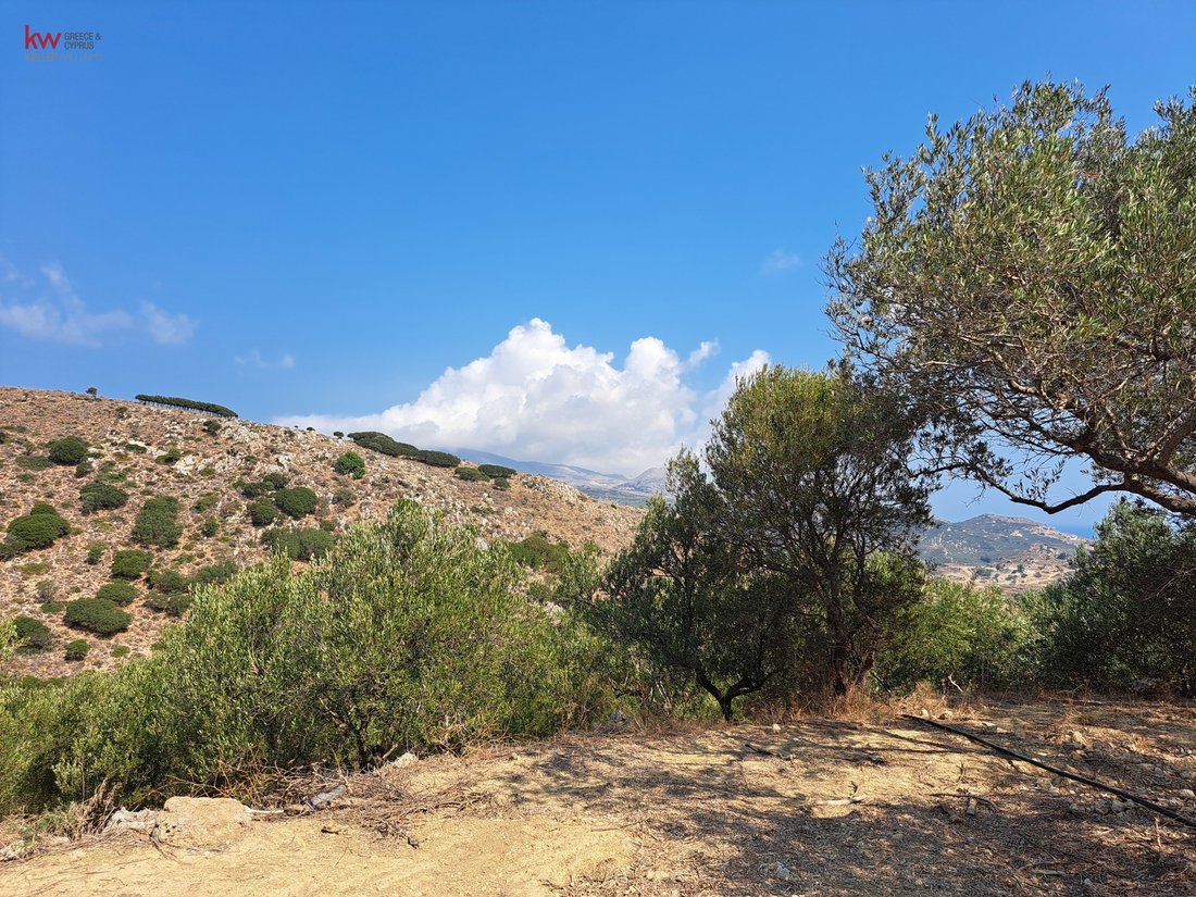 Land in Platanias, Greece 5 - 17249820