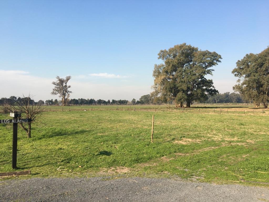 Farm Ranch in General Rodríguez, Buenos Aires Province, Argentina 5 - 17251174