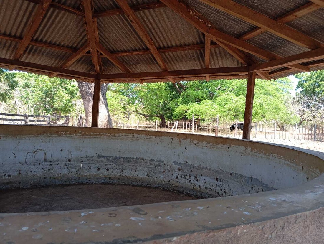 Farm Ranch in Los Navarrete, Managua, Nicaragua 1 - 17250113