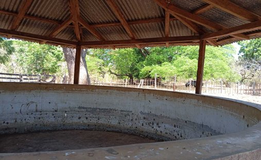 Farm Ranch in Los Navarrete, Managua, Nicaragua 1