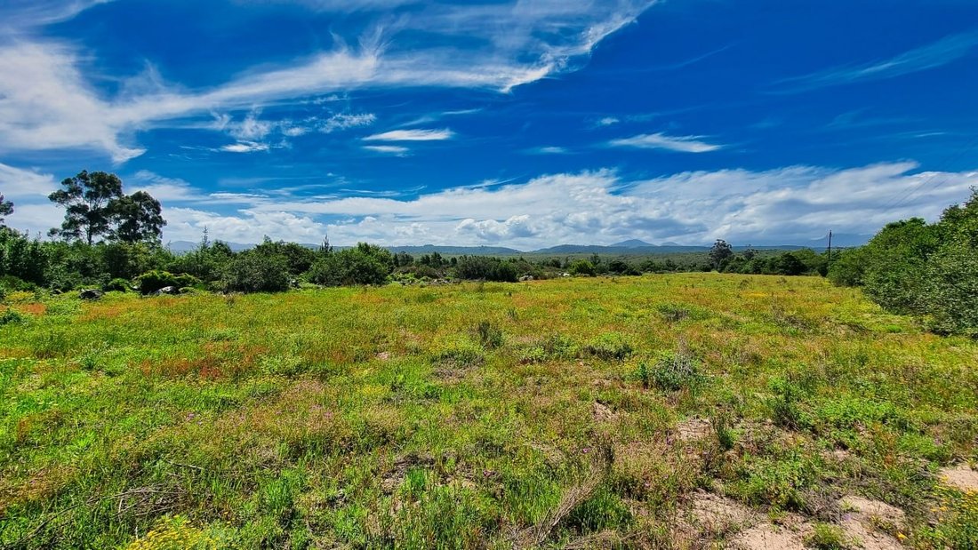 Farm Ranch in Johannesburg, Gauteng, South Africa 4 - 17251152