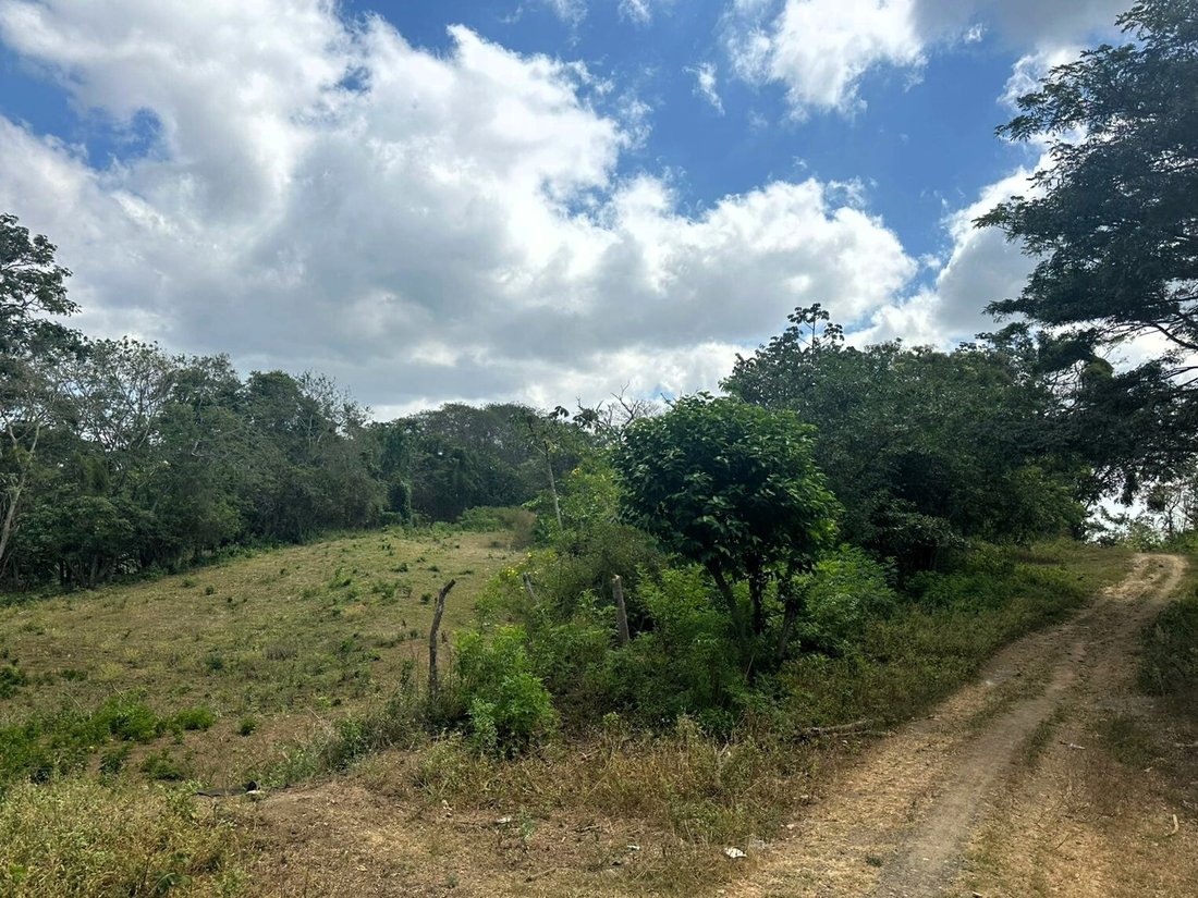 Land in Managua, Managua, Nicaragua 1 - 17249463