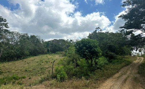 Terreno a Managua, Dipartimento di Managua, Nicaragua 1