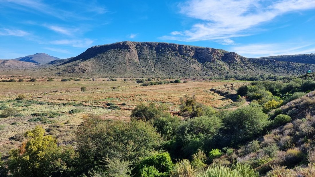 Farm Ranch in Johannesburg, Gauteng, South Africa 1 - 17253185