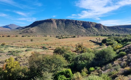Farm Ranch in Johannesburg, Gauteng, South Africa 1