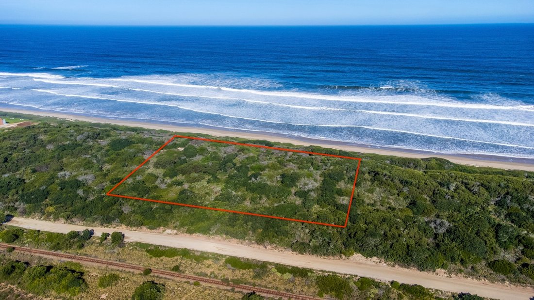 Farm Ranch in Johannesburg, Gauteng, South Africa 1 - 17253391
