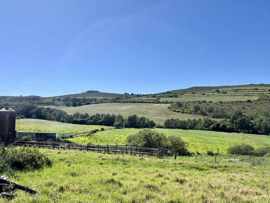 Farm Ranch in Johannesburg, Gauteng, South Africa 4 - 17252307