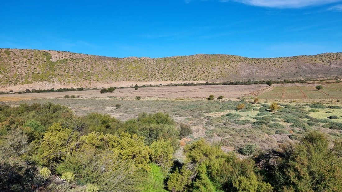 Farm Ranch in Johannesburg, Gauteng, South Africa 2 - 17253185