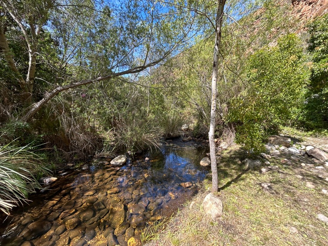 Farm Ranch in Johannesburg, Gauteng, South Africa 2 - 17250548
